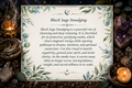 Cleansing and Smudging with Black Sage
