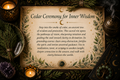 The Wisdom of the Ancient Cedar