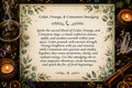 Cleansing and Smudging with Cedar, Orange, and Cinnamon