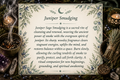 Cleansing and Smudging with Juniper