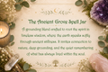 The Ancient Grove